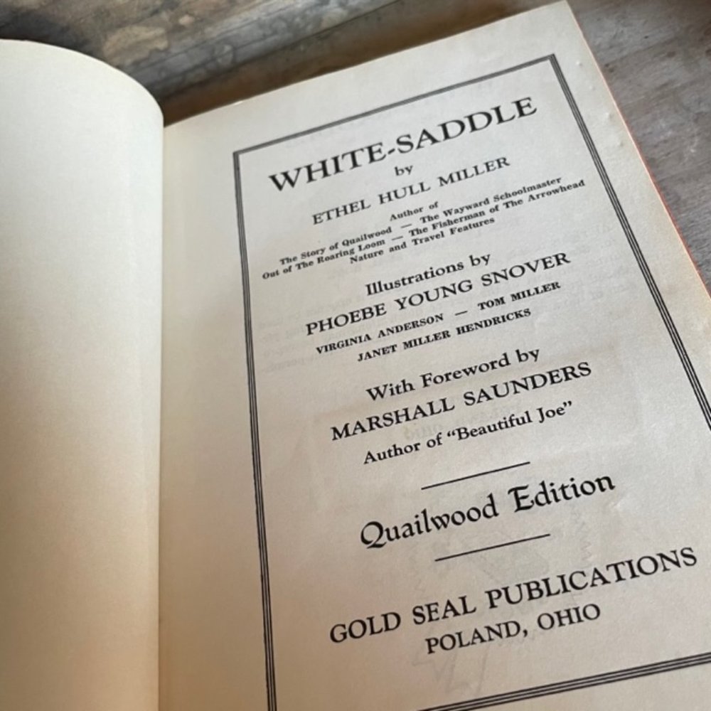 RARE Antique Vintage 1934 Horse Book White-Saddle Collectors Hard Copy - Picture 8 of 12